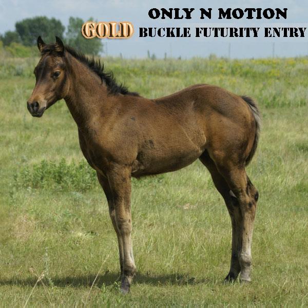 ONLY N MOTION